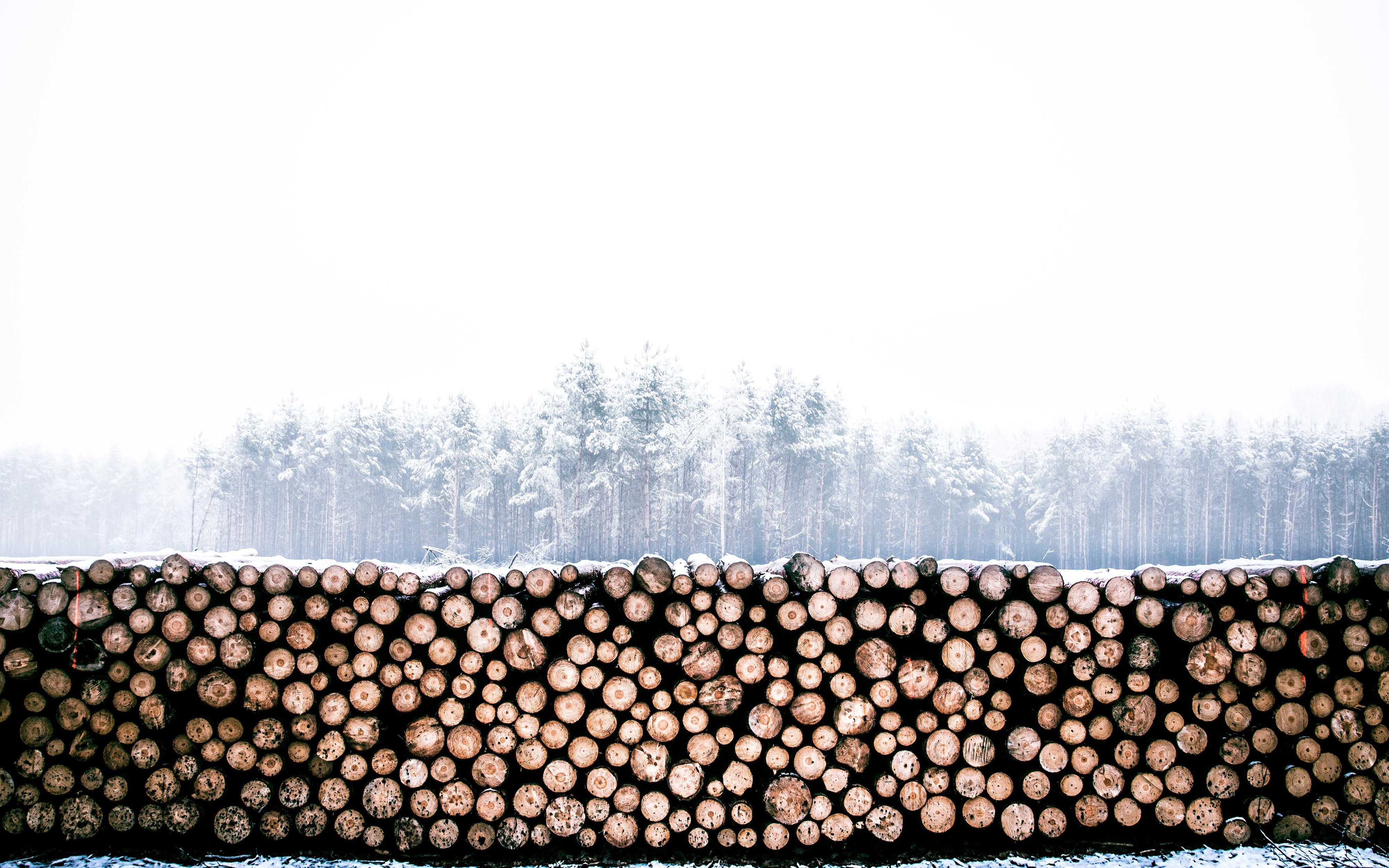 Logging HTTP Request Metadata With Nginx, Lua, Logstash, and Elasticsearch