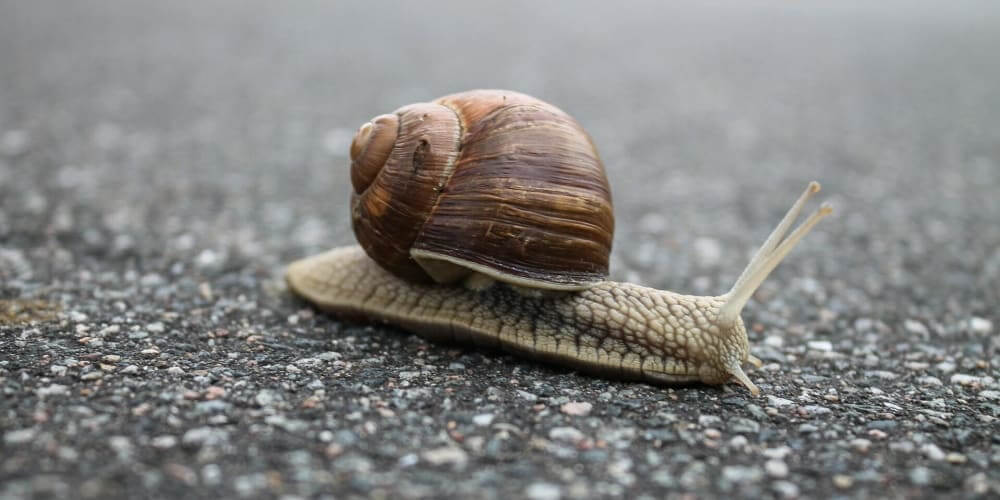 5 ways to optimize your eloquent queries