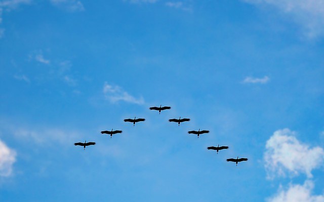 Cloud Migration Best Practices: How to Move Your Project to Kubernetes