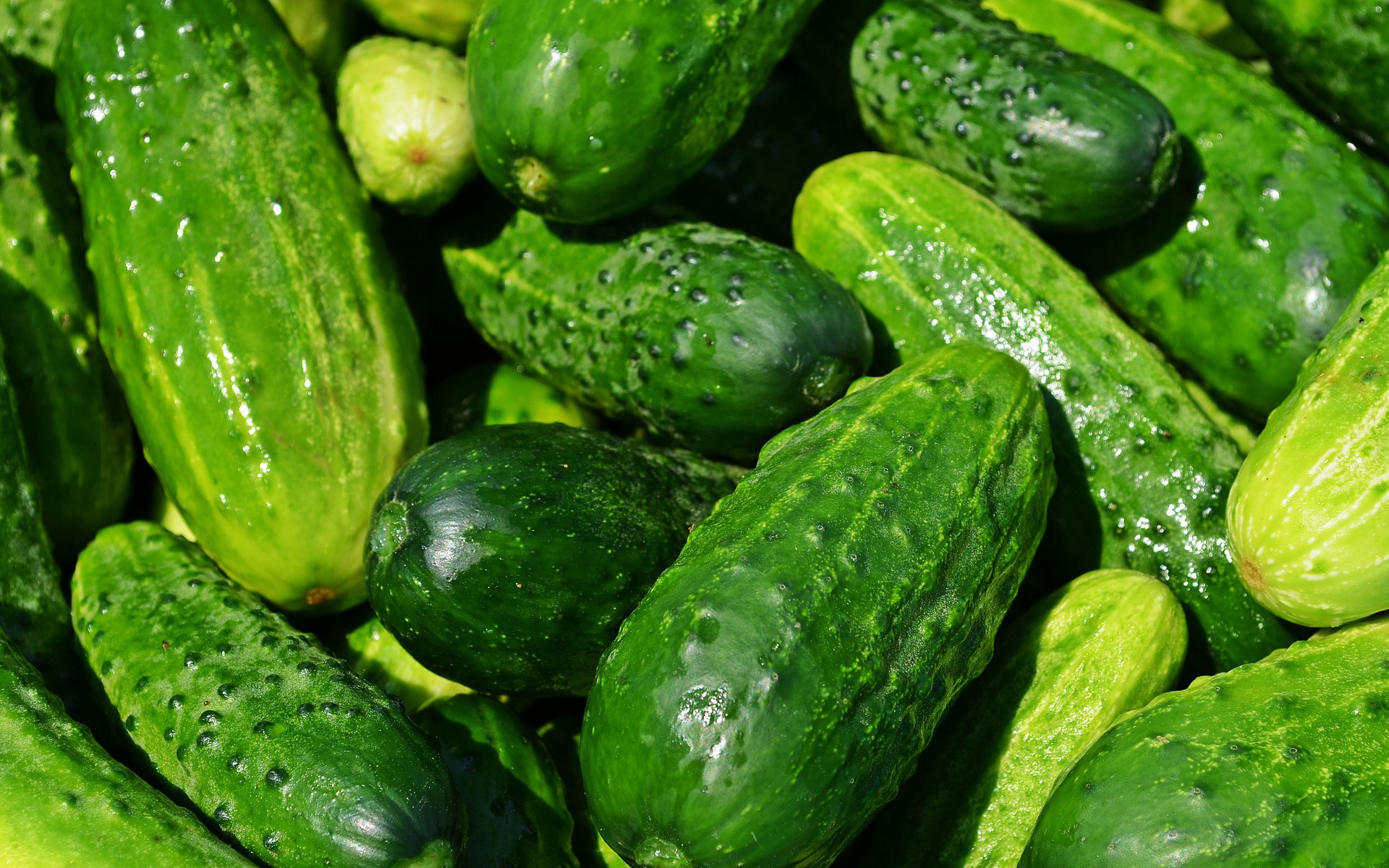Using Dependency Injectors to Simplify Cucumber Code