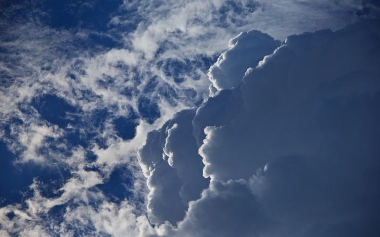 The Current State of Securing Cloud Workloads and Tackling Cloud Complexity