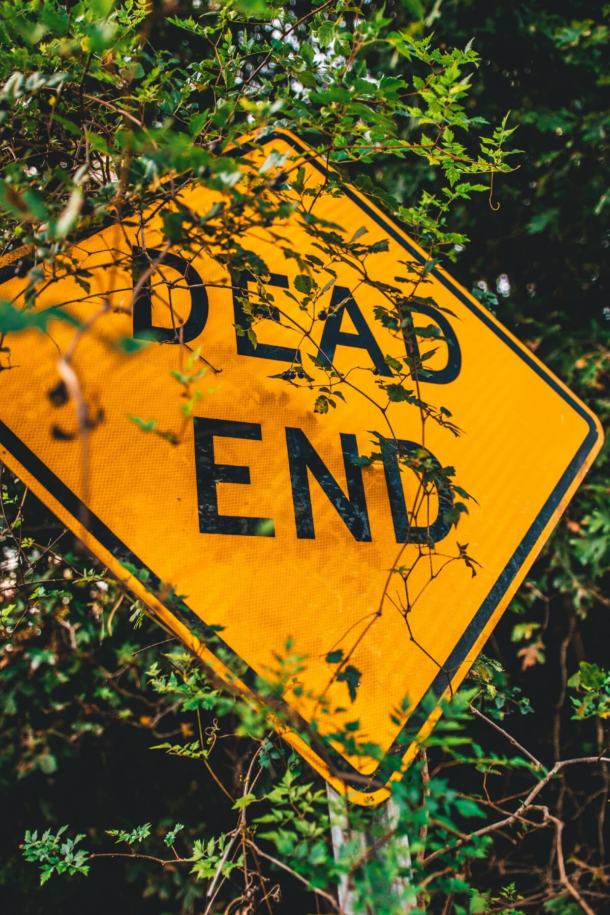 LaraChat Articles - 5 Ways Node.js is killing PHP