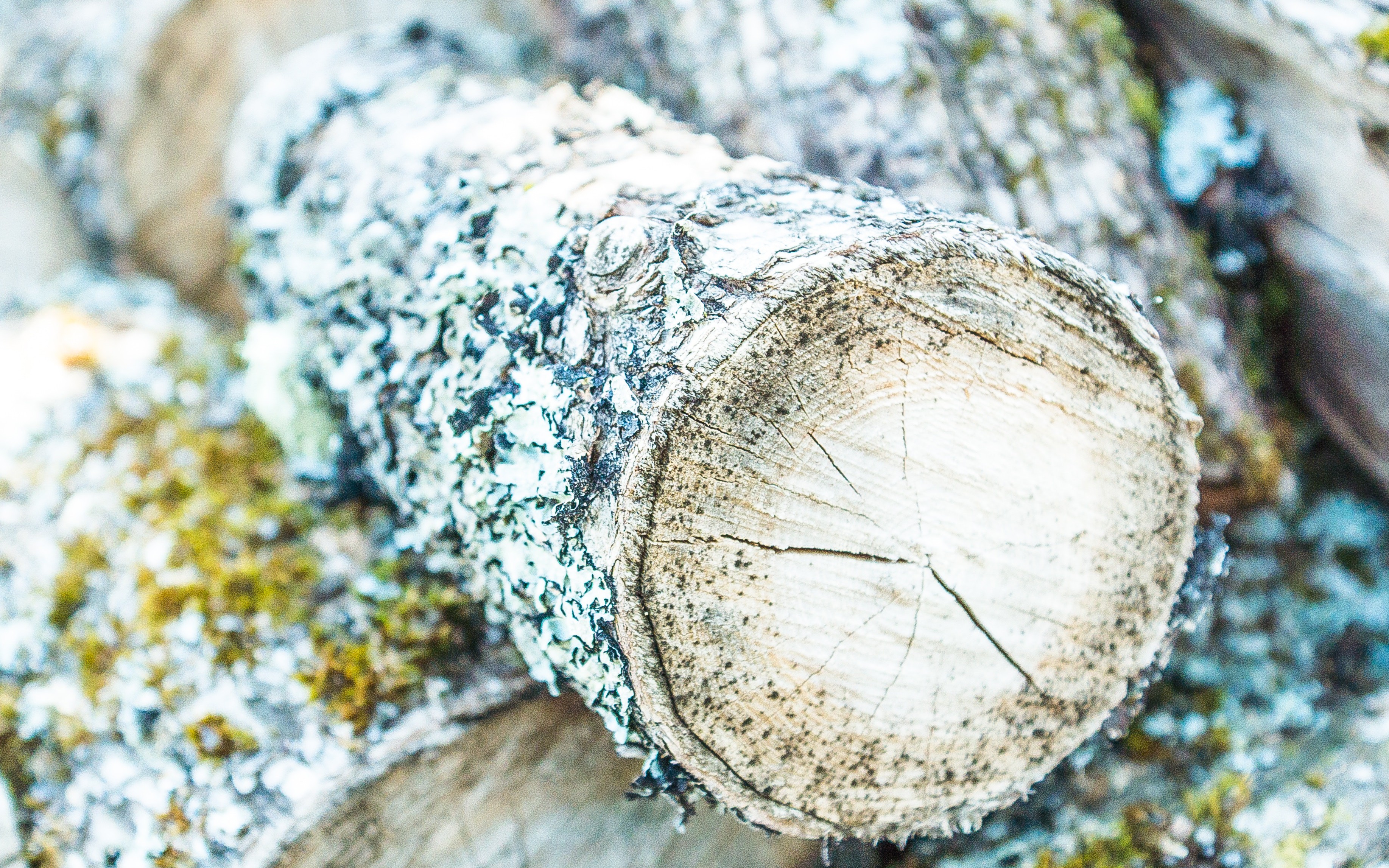 Creating a Logging Application in RabbitMQ With Spring Boot and Logback