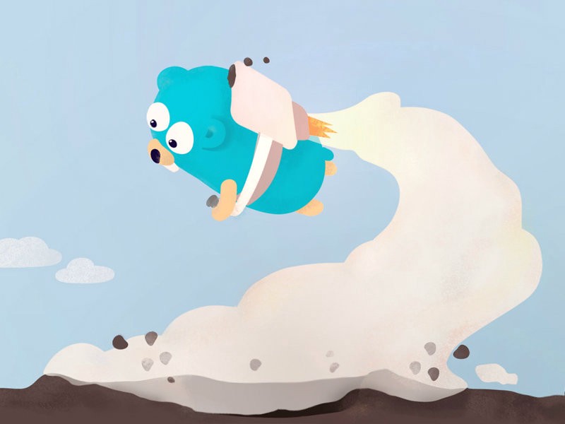 On concurrency in Go http servers, resize images with Go and Cloud Functions, goissues.org & more