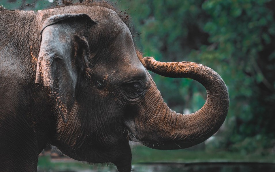 Hadoop Vs. Spark — Choosing the Right Big Data Framework