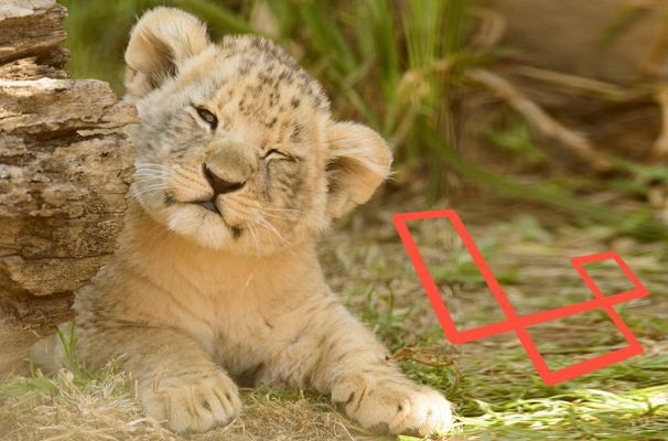 Why we use Laravel &amp; Wink