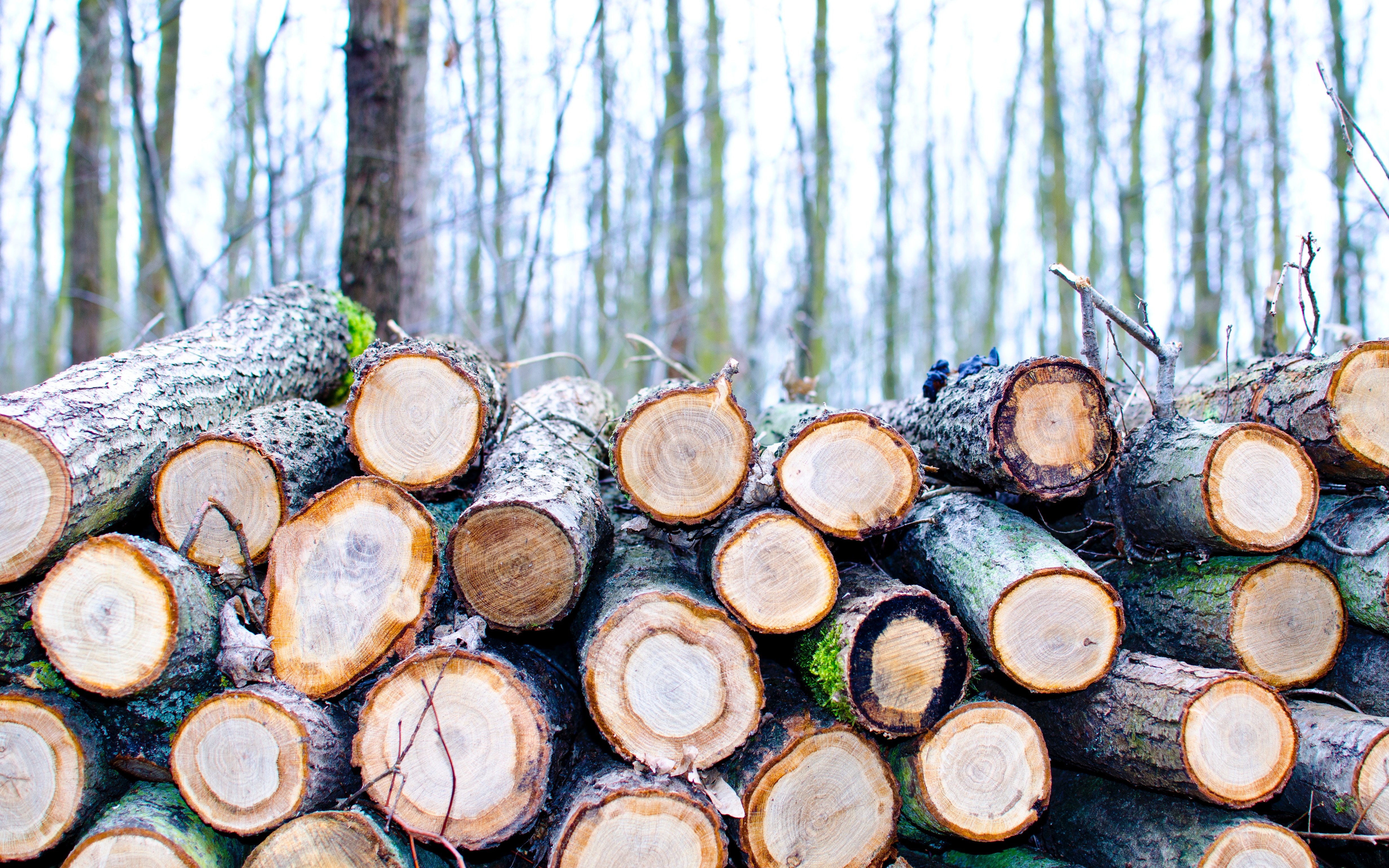 Export Kubernetes Logs to Azure Log Analytics With Fluent Bit