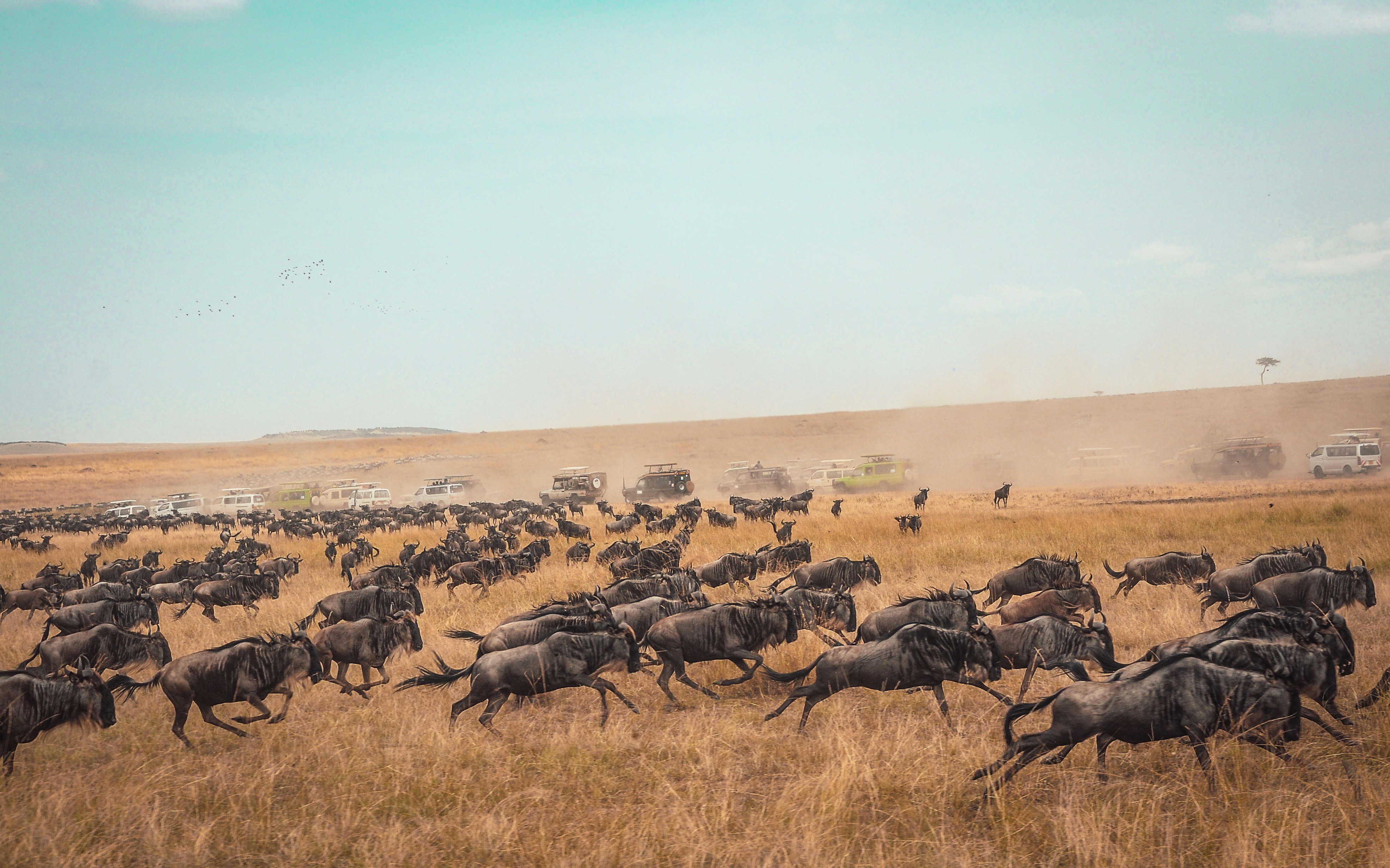 Migrating MySQL Data to ElasticSearch Using Logstash