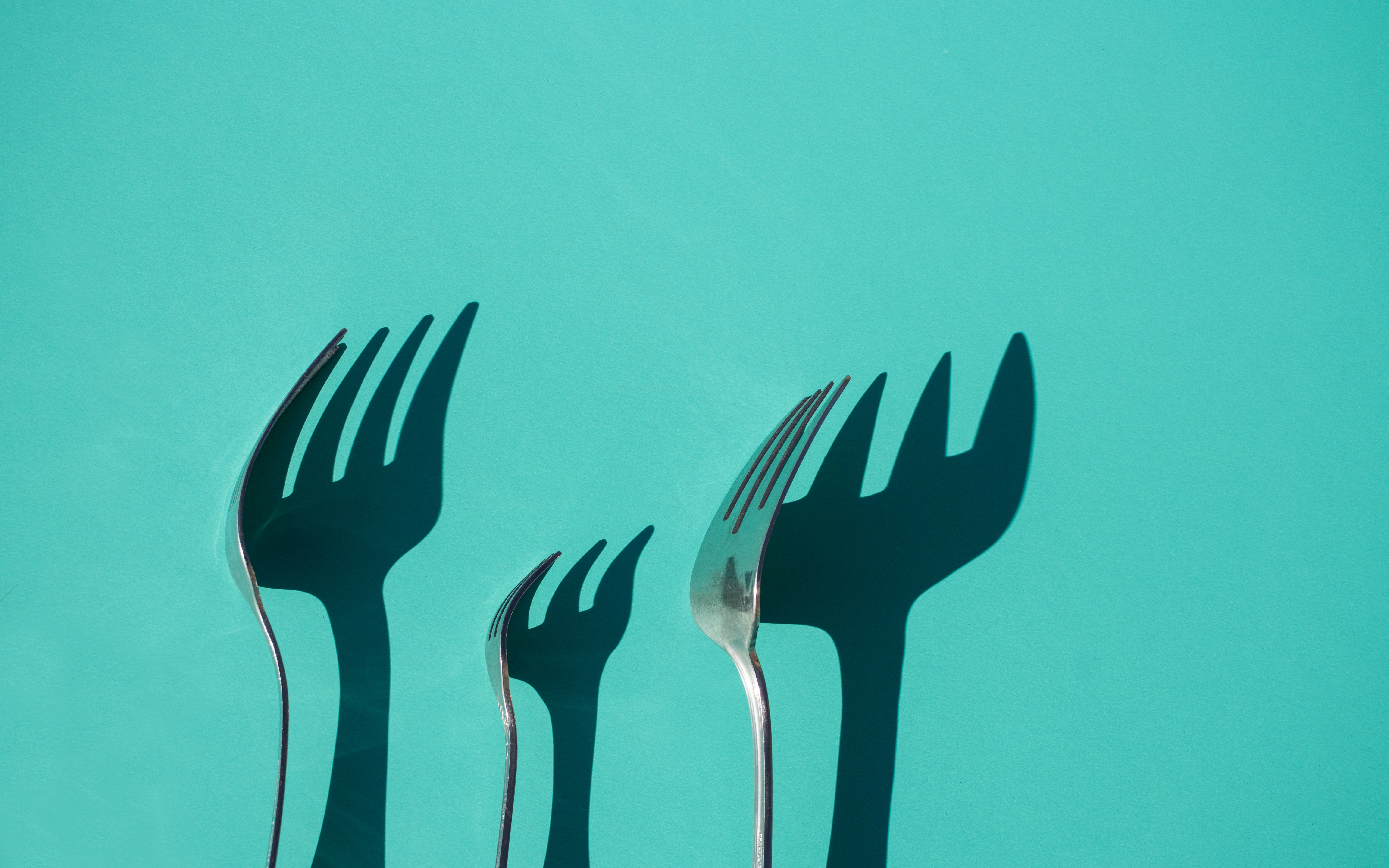 AWS Intends for Their New Project to be an Elasticsearch Fork