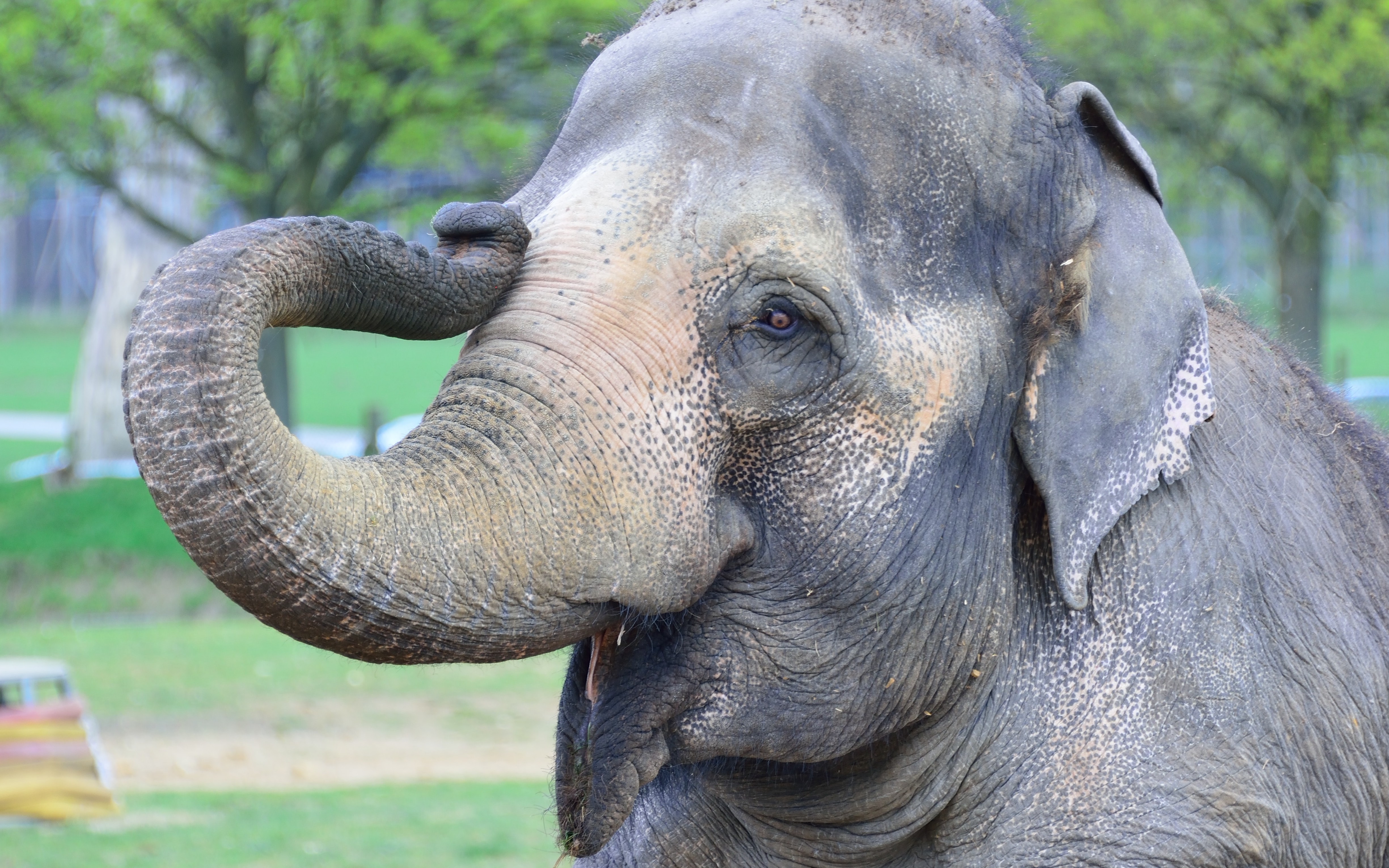 Big Data and Hadoop: An Introduction