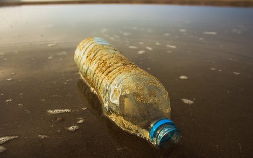 Using AI to Support Environmental Protection