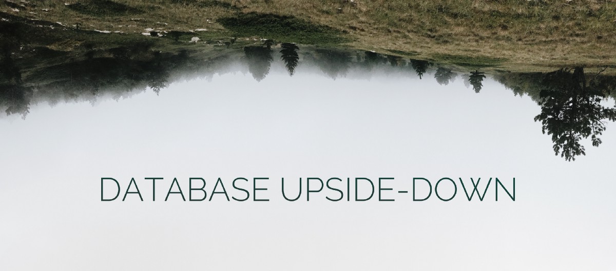 Database Upside-Down, or How To Increase Request Processing Speed