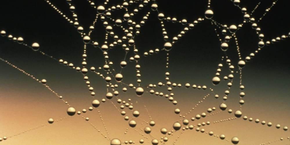 Web Scraping with Laravel and spatie/crawler