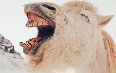 From Funny to Chilling: a Chapter of Notorious Cybersecurity Debacles