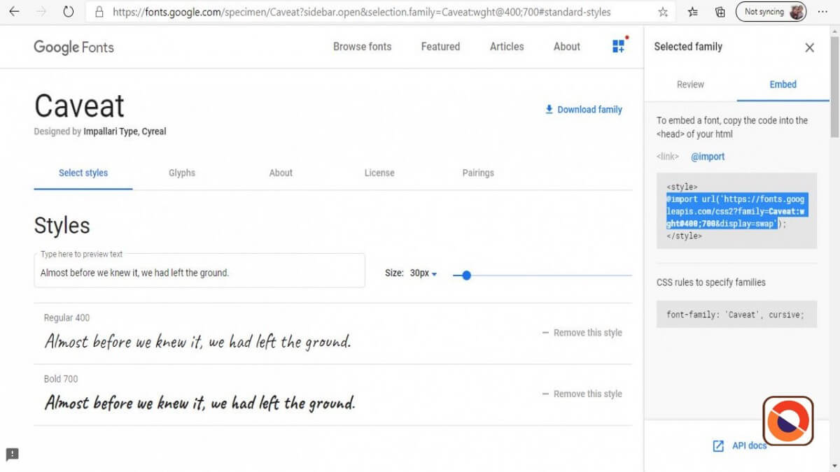Import Google fonts, font awesome in to a Laravel application